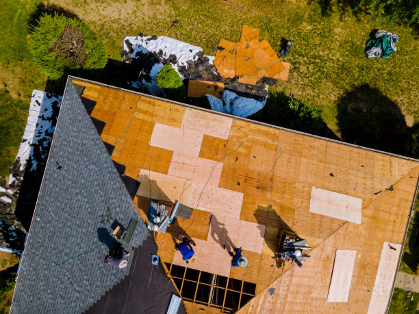 Best Flat Roof Repair Services  in Experiment, GA