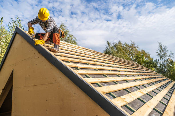 Best Roof Gutter Cleaning  in Experiment, GA